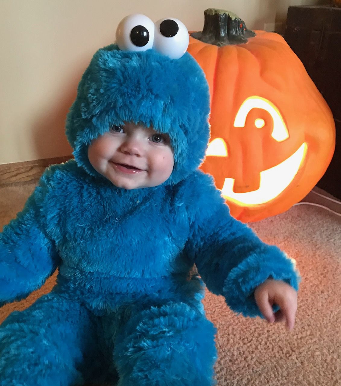 Cookie Monster
